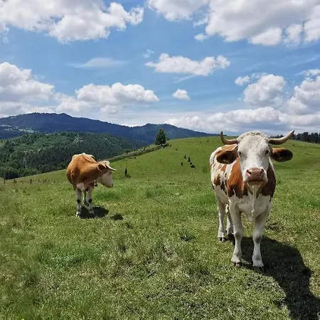 Vikendica Gradina Zlatibor Сasa de vacaciones Cajetina (Zlatibor)