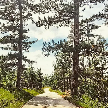Vikendica Gradina Zlatibor Сasa de vacaciones