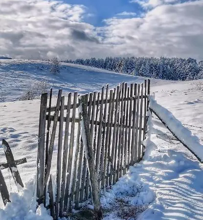 Vikendica Gradina Zlatibor Holiday home
