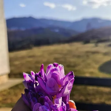Vikendica Gradina Zlatibor Cajetina (Zlatibor)